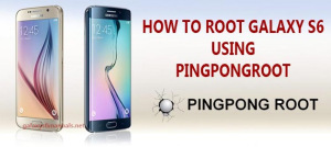 Ping Pong Root 